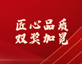 双奖加冕！91视频污版下载漆以匠心实力铸就行业标杆